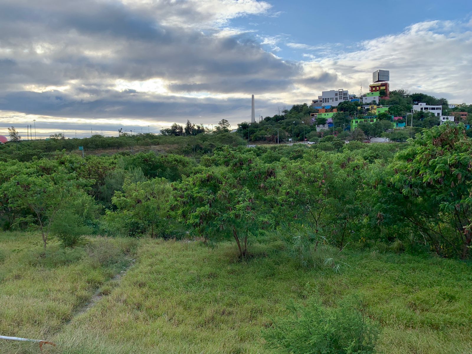 el-clima-para-hoy-en-ciudad-victoria-jueves-06-de-julio-2023